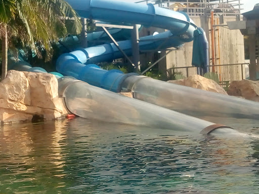 Water Park «Aquatica», reviews and photos, 5800 Water Play Way, Orlando, FL 32821, USA