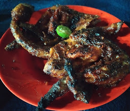 Warung Ini Baru Taliwang photo