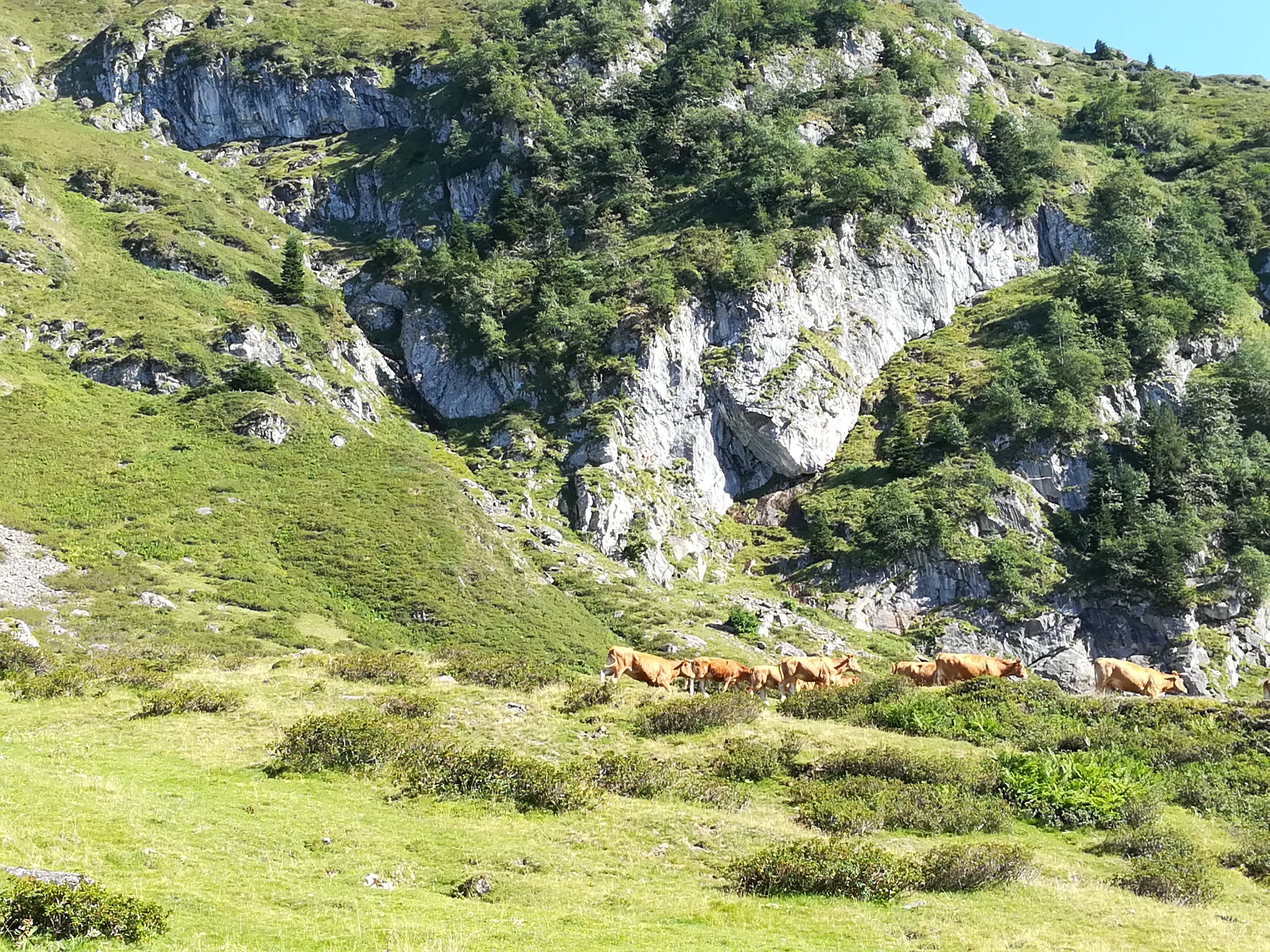 Photo n° 1 de l'avis de Swanna.A fait le 29/08/2019 à 16:12
