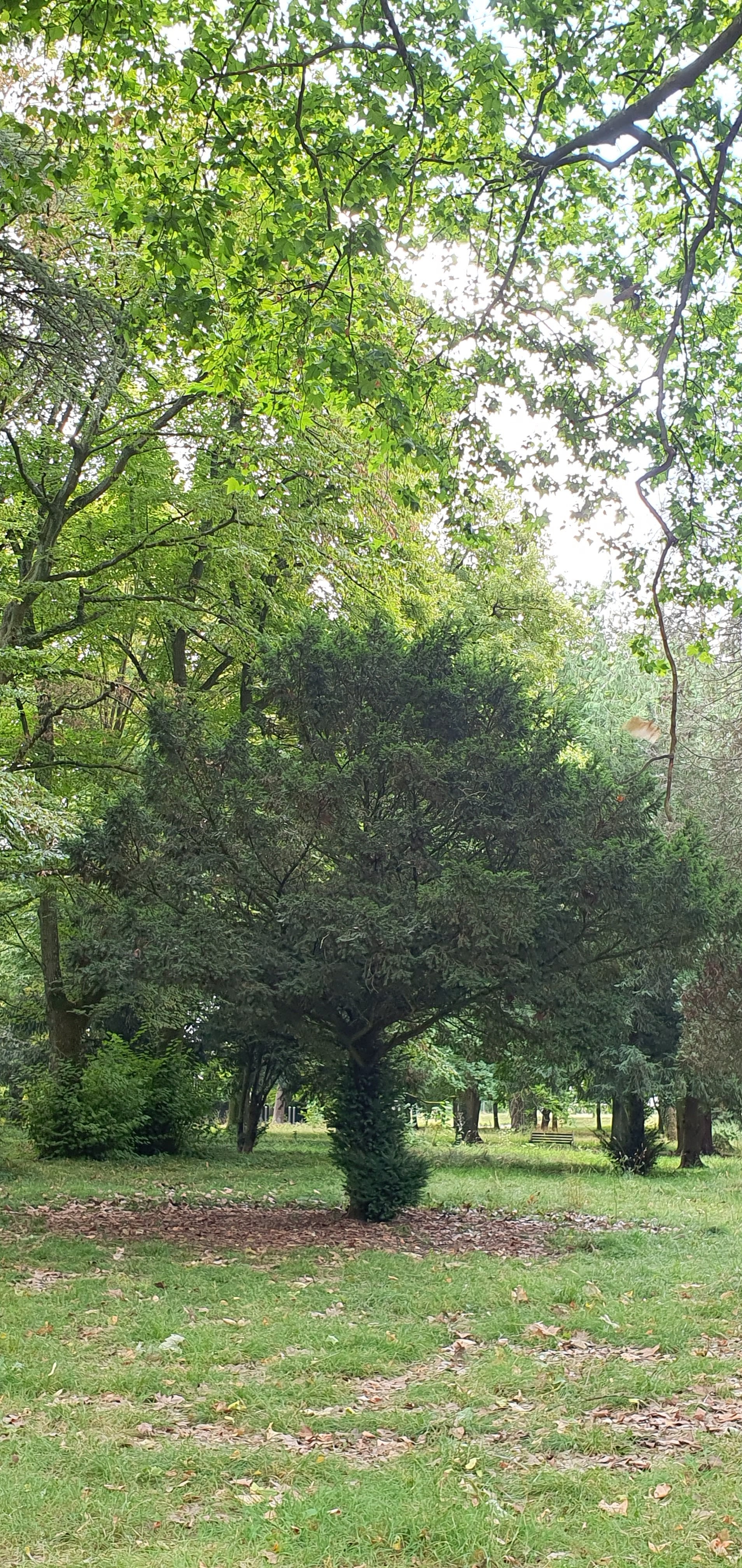 Photo n° 5 de l'avis de Paparazzi.x fait le 23/07/2023 à 08:48