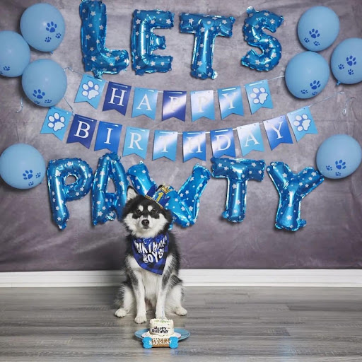 Pet Store «Waggin Tails Pet Supplies», reviews and photos, 32160 Dyer St, Union City, CA 94587, USA