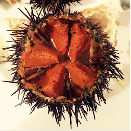 Photo n°57 de Chez Roger à Marseille ()