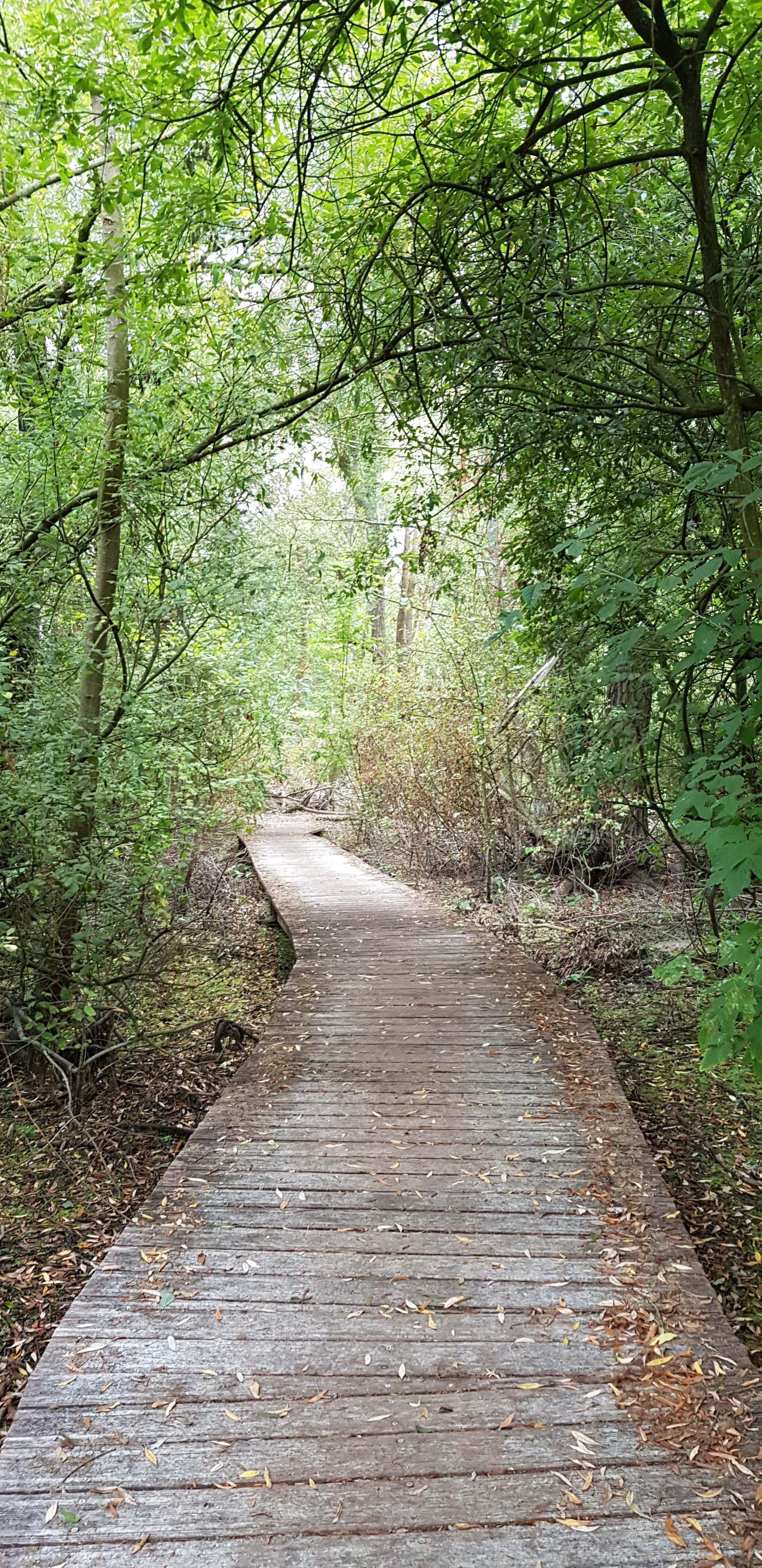 Photo n° 1 de l'avis de Morgane.G fait le 22/09/2018 à 16:25