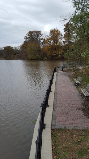 Coffee Shop «Moth coffeehouse», reviews and photos, 42 S Main St, Allentown, NJ 08501, USA