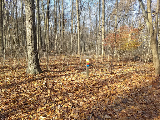 Natural Lands’ Meng Preserve
