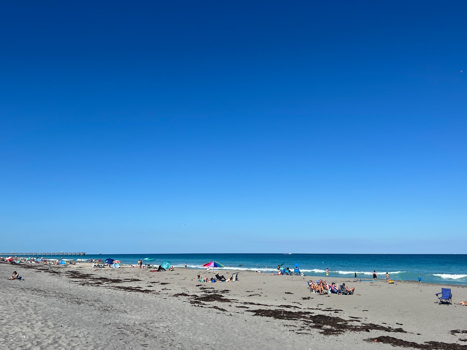 Foto av Palm beach County med lång rak strand