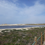 Photo n°2 de l'avis de Luis.o fait le 02/05/2018 à 00:51 sur le  Barra Mar's - Snacks à Esmoriz