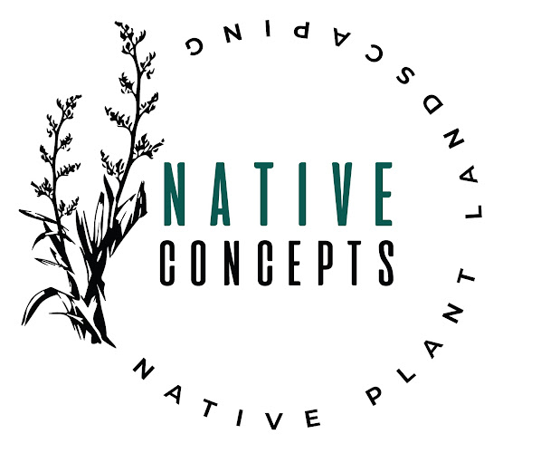 Native Concepts Limited - Gisborne