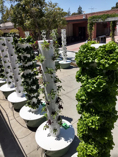 Book Store «CSULB Bookstore», reviews and photos, 6049 E 7th St, Long Beach, CA 90840, USA