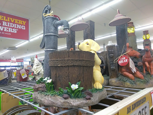 Home Improvement Store «Tractor Supply Co.», reviews and photos, 66143 Van Dyke, Washington, MI 48095, USA