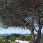 Photo n°7 de l'avis de ERIK. fait le 13/09/2018 à 13:04 sur le  Club Marmara Cala Fiorita à Budoni