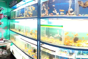 Fancy Aquarium & Pet Shop image