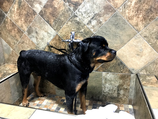 Pet Supply Store «Pet Valu», reviews and photos, 411 Valley Brook Ave, Lyndhurst, NJ 07071, USA