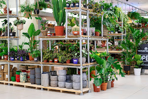 The Plant Workshop