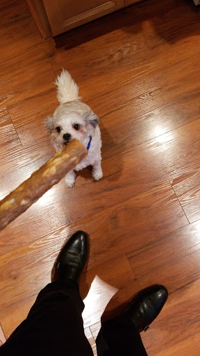 Pet Supply Store «Pet Supplies Plus», reviews and photos, 7007 Manchester Blvd, Franconia, VA 22310, USA