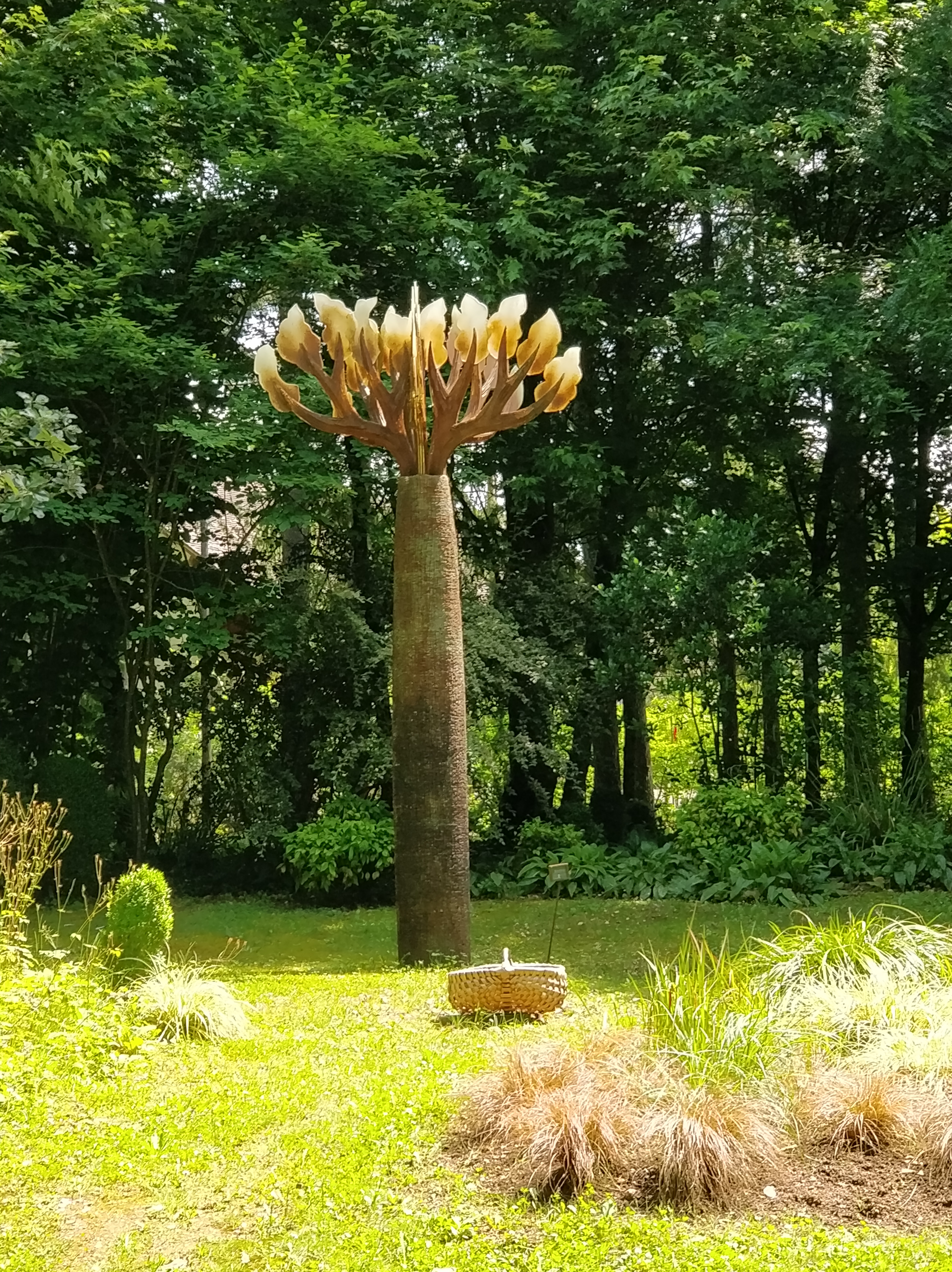 Photo n° 1 de l'avis de henri.e fait le 21/06/2018 à 05:28