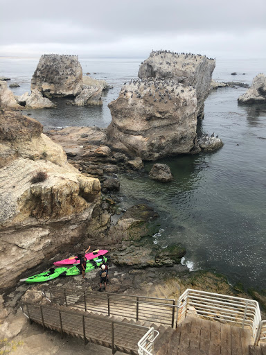 Surf Shop «Pismo Beach Surf Shop», reviews and photos, 470 Price St, Pismo Beach, CA 93449, USA