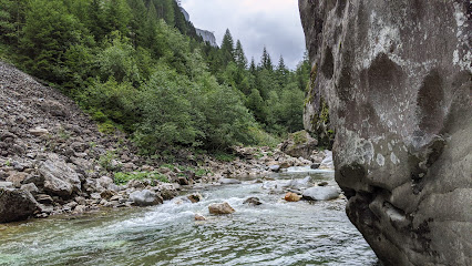 Boulderparadies Magic Wood