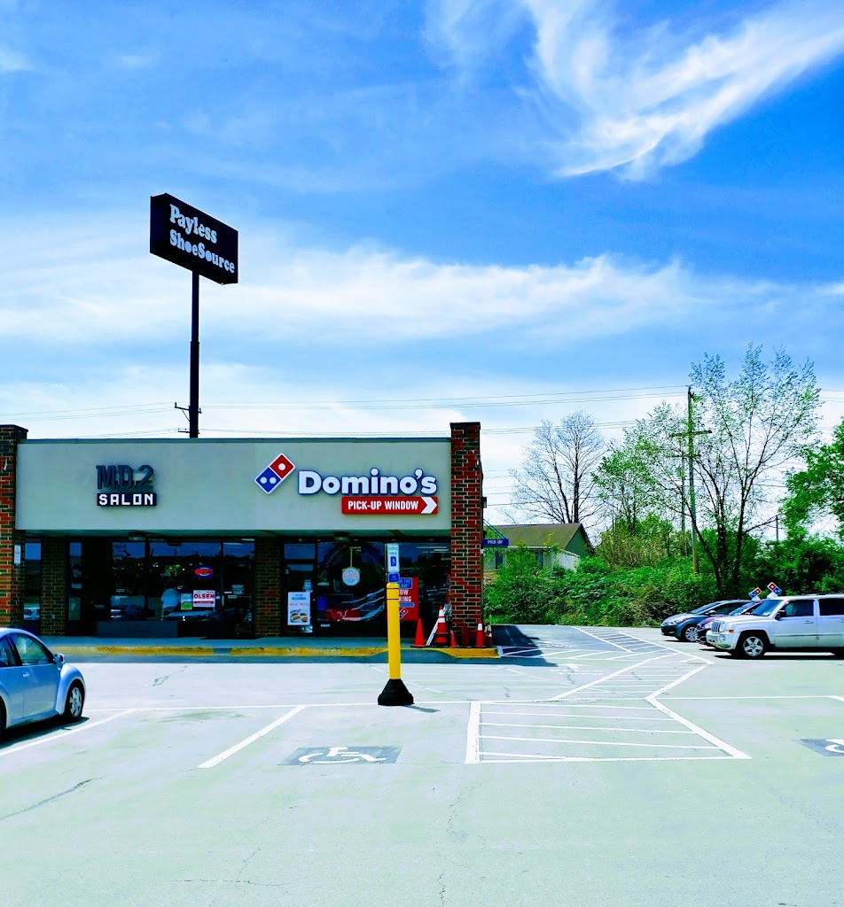 Domino's Pizza 15666