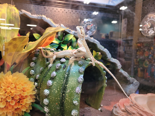 Pet Supply Store «PetSmart», reviews and photos, 860 Cobb Pl Blvd NW, Kennesaw, GA 30144, USA