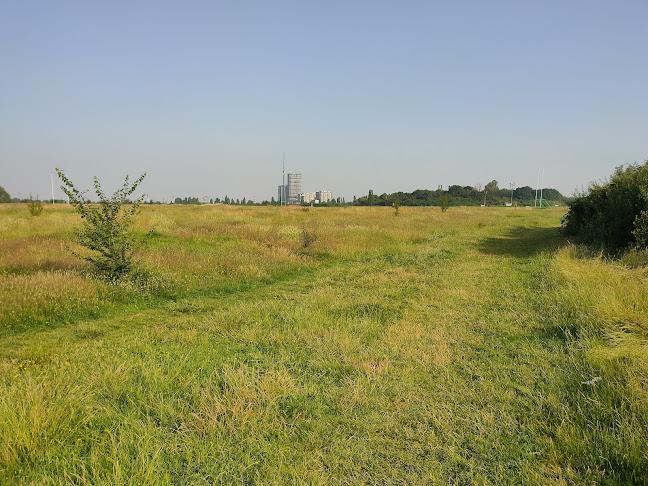 Comments and reviews of Wormwood Scrubs