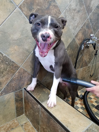 Pet Supply Store «Pet Valu», reviews and photos, 3437 Center Rd, Brunswick, OH 44212, USA