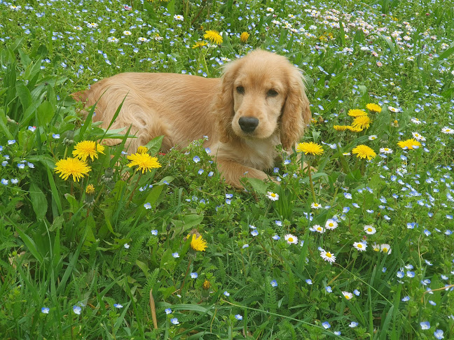Rue Simone Signoret, 87100 Limoges