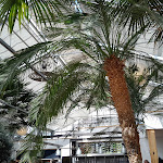 Photo n°1 de l'avis de Cedric.r fait le 20/04/2024 à 11:35 sur le  Vinolivio Schallstadt à Schallstadt