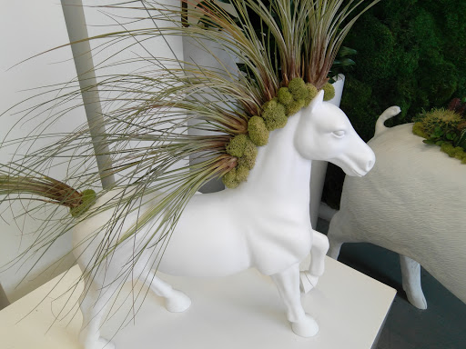 Interior Plant Service «Plant The Future, Inc.», reviews and photos, 2511 NW 2nd Ave, Miami, FL 33127, USA