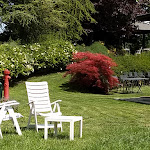 Photo n°6 de l'avis de Frida.i fait le 10/05/2019 à 16:48 sur le  Giardino Botanico Gavinell à Salsomaggiore Terme