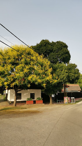 Belvárosi bolt - Csongrád-Csanád