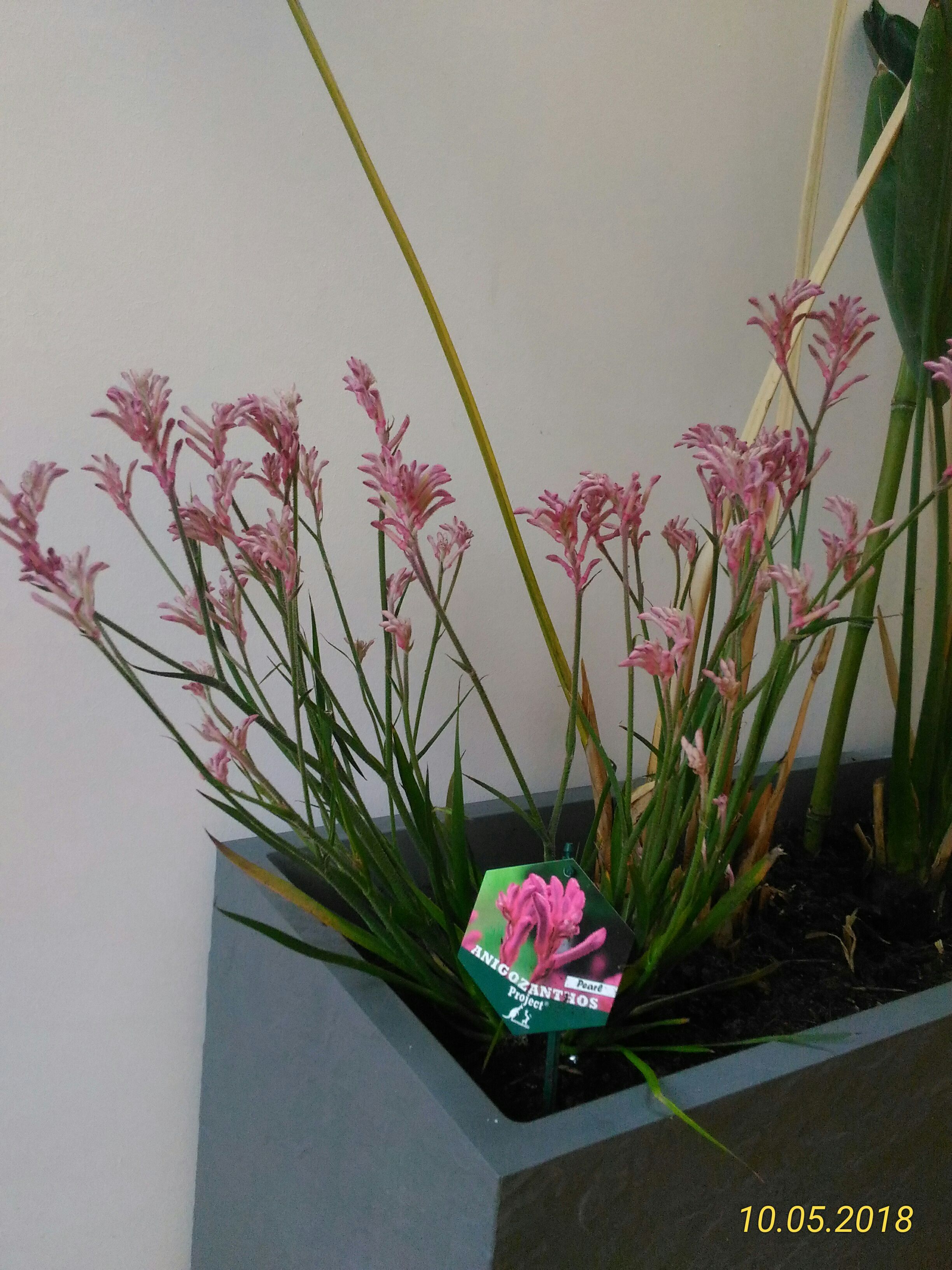 Photo n° 40 de l'avis de Marie.a fait le 13/05/2018 à 06:32