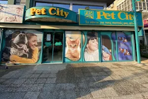 Pet City Πεύκη image