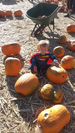 Amusement Center «Jump Man Jump», reviews and photos, 335 Edison Way, Reno, NV 89502, USA