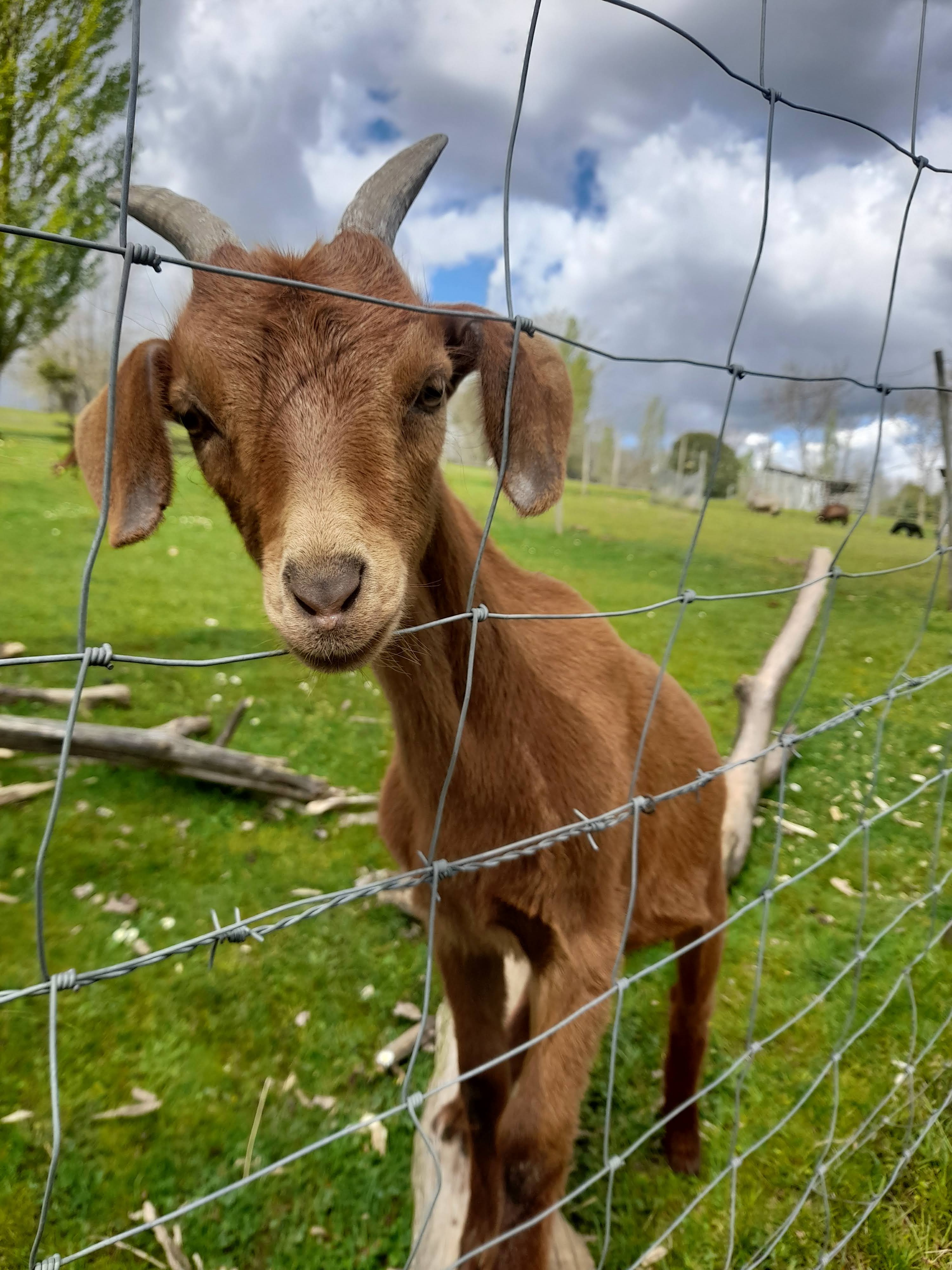 Photo n° 1 de l'avis de Pascale.h fait le 23/04/2023 à 15:29