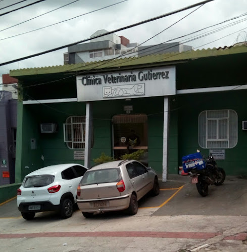 Clínica Veterinária Gutierrez