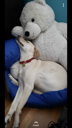 Movie Theater «Bow Tie Cinemas Marquis 16 & BTX Theater», reviews and photos, 100 Quarry Rd, Trumbull, CT 06611, USA