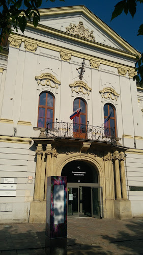 Recenzie Východoslovenská galéria v Košice - Múzeum