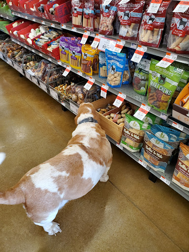 Pet Supply Store «Pet Supplies Plus», reviews and photos, 8175 Sheridan Blvd a, Arvada, CO 80003, USA