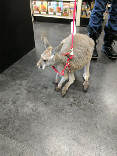 Pet Supply Store «Pet Pros Puyallup», reviews and photos, 5614 176th St E, Puyallup, WA 98375, USA