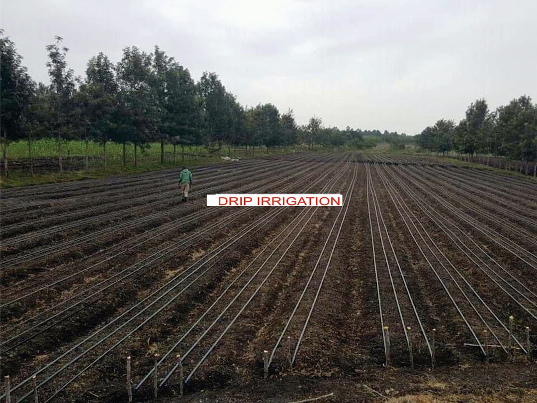Agribusiness Consults(DEEJOFT)DRIP IRRIGATION SYSTEMPOULTRY FARMBATTERY CAGEGREENHOUSE CONSTRUCTIONFARMING EQUIPMENT