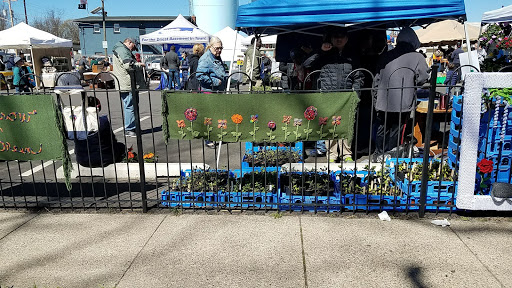 Thrift Store «Frügal Thrift & Vintage», reviews and photos, 740 Haddon Ave, Collingswood, NJ 08108, USA