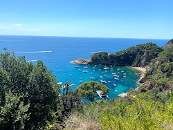 Cala Spiratiu'in fotoğrafı küçük bir koy ile birlikte