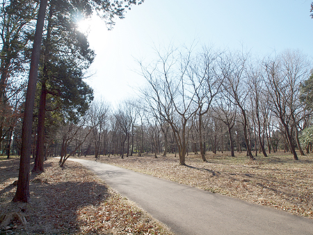 阿見町ふれあいの森