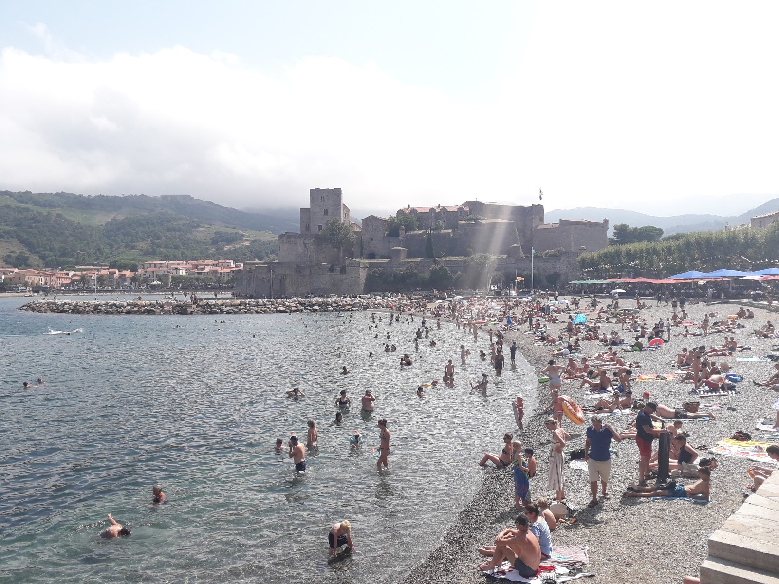 Photo de Collioure plage - bon endroit convivial pour les animaux de compagnie pour les vacances