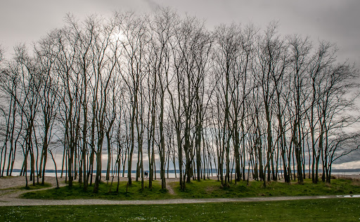 Park «Golden Gardens Park», reviews and photos, 8498 Seaview Pl NW, Seattle, WA 98117, USA