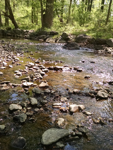 Park «Pilgrim Hill Local Park», reviews and photos, 1615 E Randolph Rd, Silver Spring, MD 20904, USA