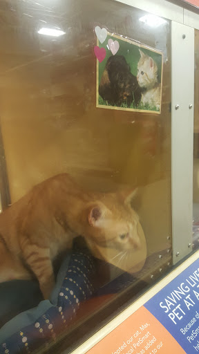 Pet Supply Store «PetSmart», reviews and photos, 2122 N 2nd St, Millville, NJ 08332, USA