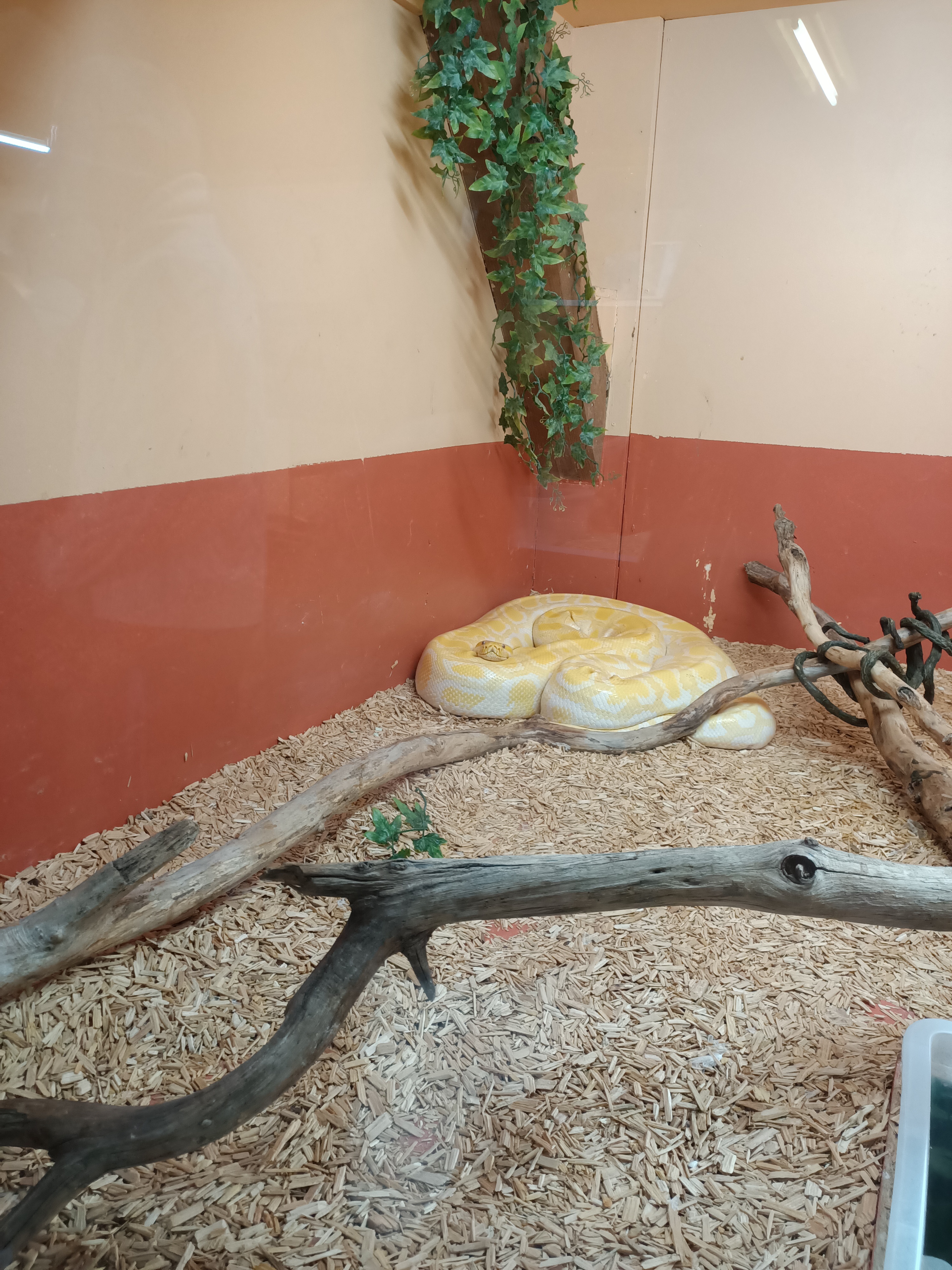 Photo n° 20 de l'avis de Dufau.a fait le 21/02/2024 à 14:51