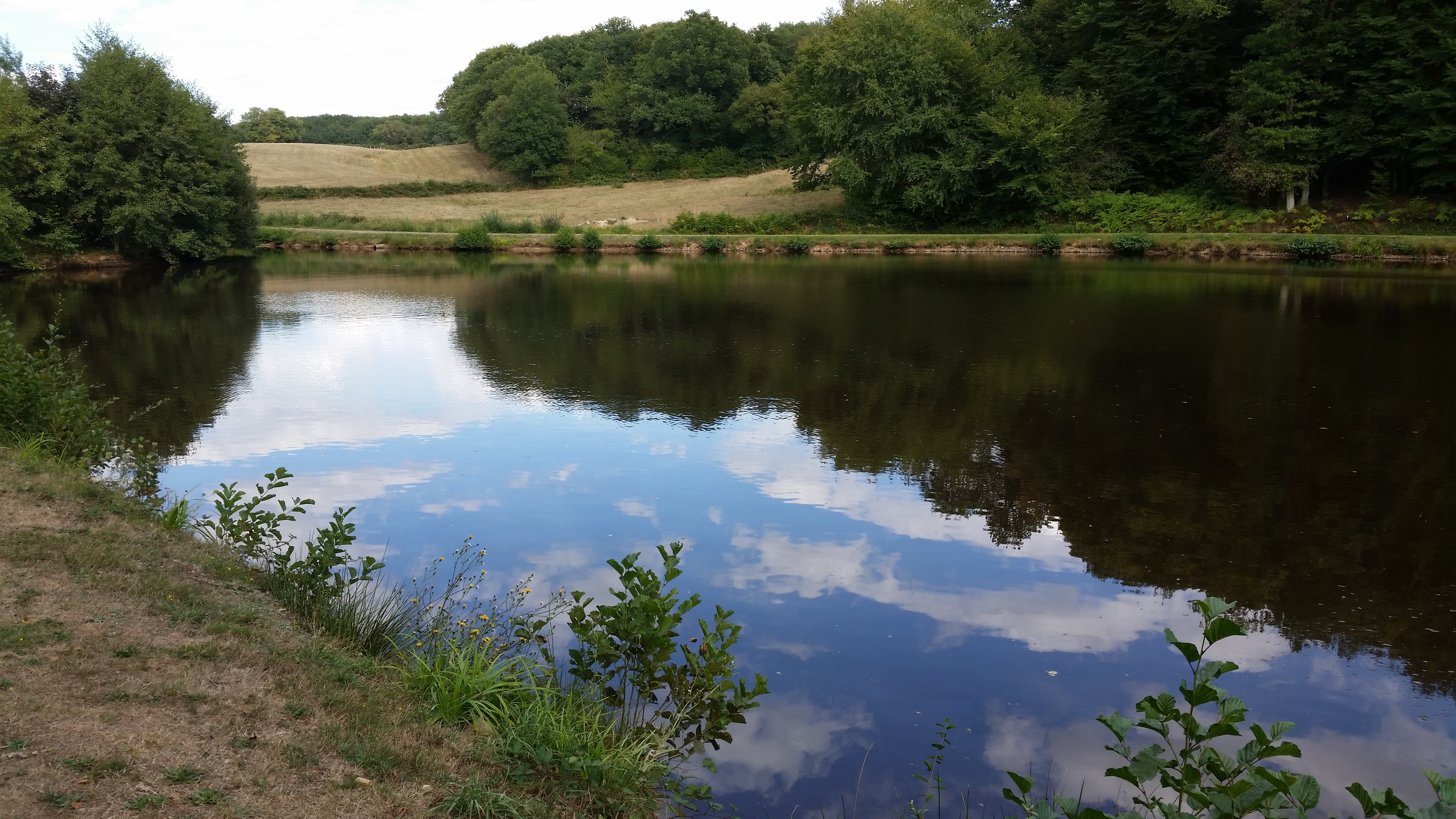 Photo n° 4 de l'avis de Gill. fait le 11/09/2018 à 19:23